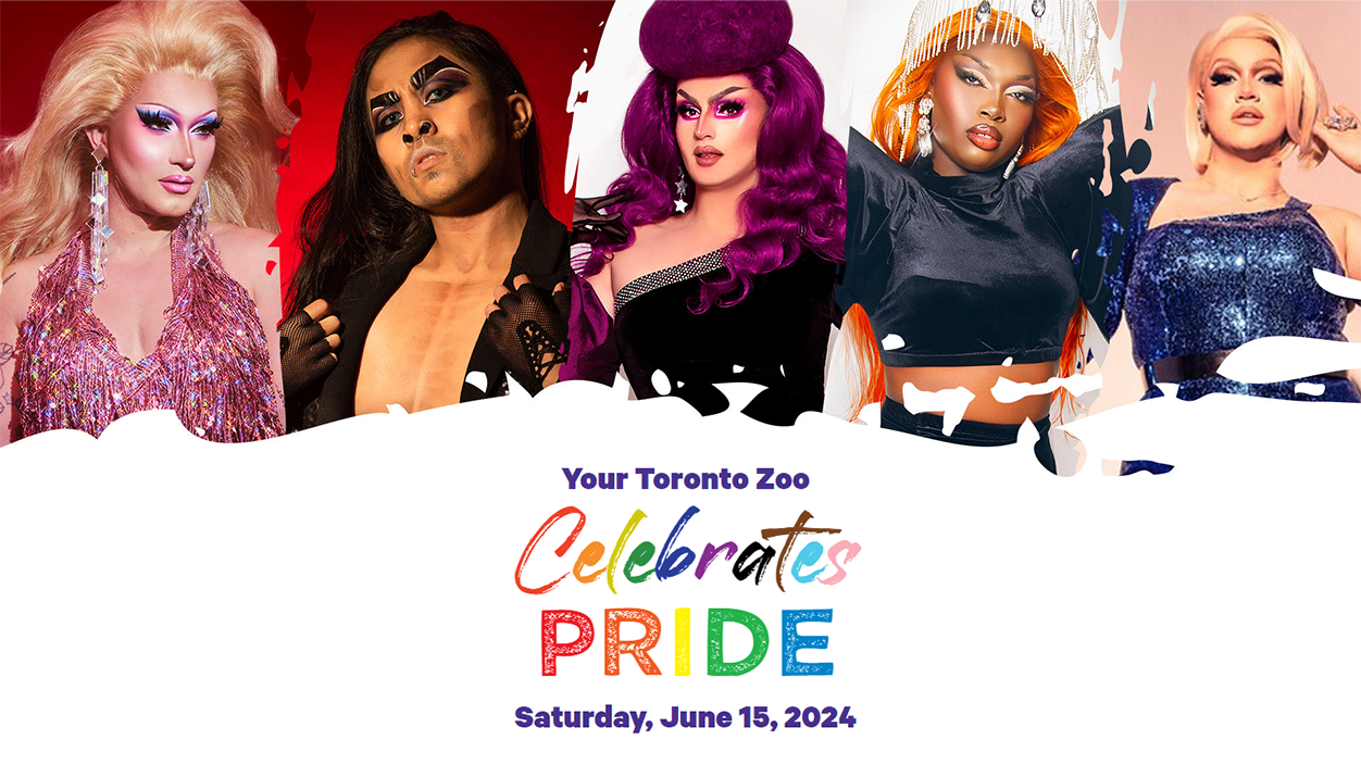 Celebrate PRIDE At Your Toronto Zoo